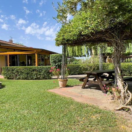 Agriturismo Terra Di Elea Azienda Agricola Di Raimondo Michela Ашеа Экстерьер фото