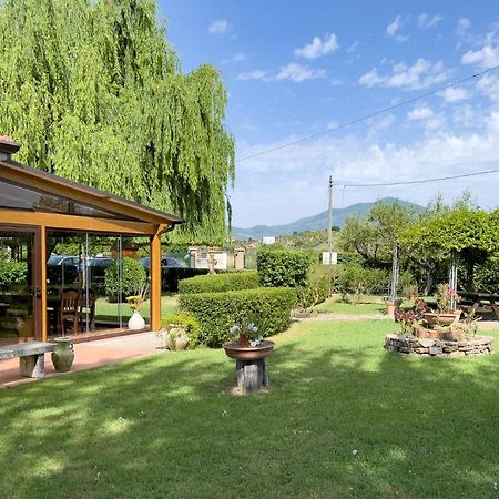 Agriturismo Terra Di Elea Azienda Agricola Di Raimondo Michela Ашеа Экстерьер фото