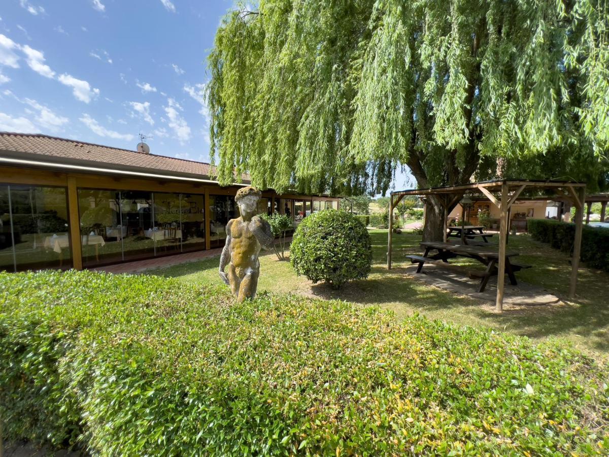 Agriturismo Terra Di Elea Azienda Agricola Di Raimondo Michela Ашеа Экстерьер фото