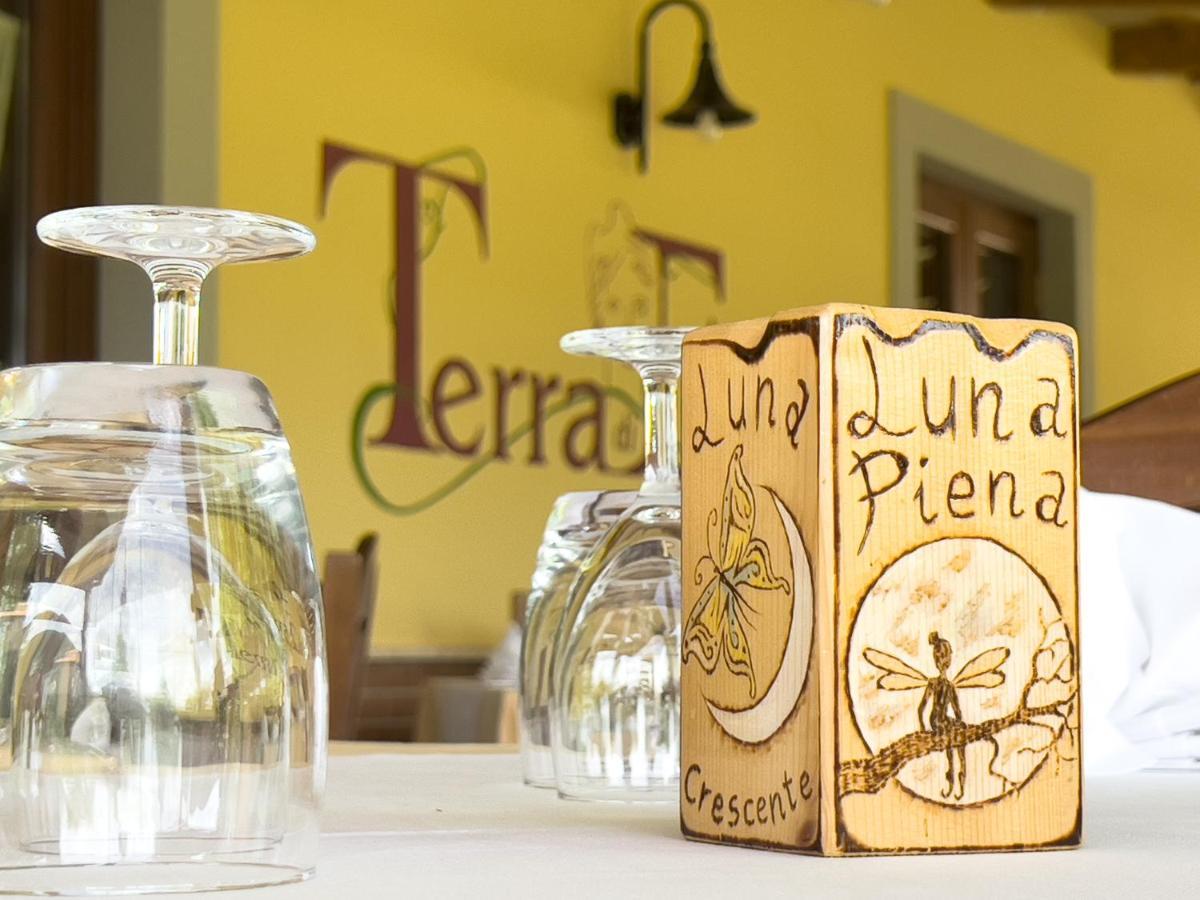 Agriturismo Terra Di Elea Azienda Agricola Di Raimondo Michela Ашеа Экстерьер фото