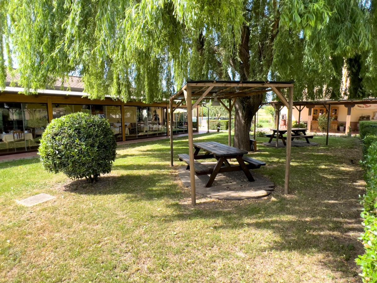 Agriturismo Terra Di Elea Azienda Agricola Di Raimondo Michela Ашеа Экстерьер фото