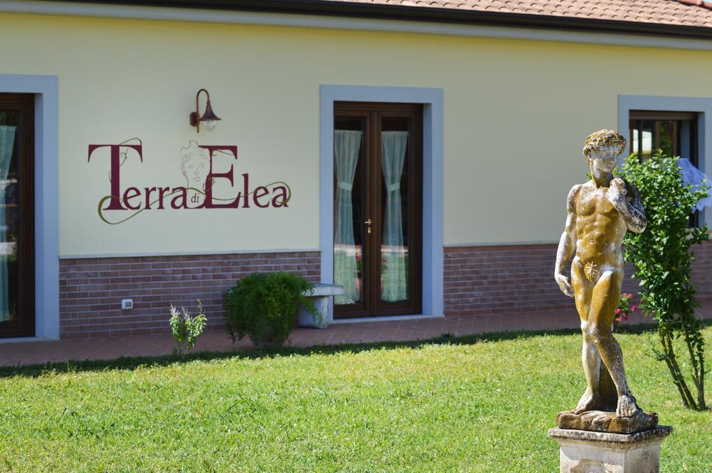 Agriturismo Terra Di Elea Azienda Agricola Di Raimondo Michela Ашеа Экстерьер фото