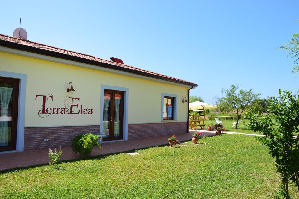 Agriturismo Terra Di Elea Azienda Agricola Di Raimondo Michela Ашеа Экстерьер фото