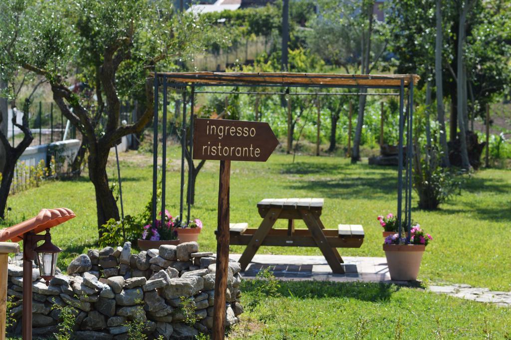 Agriturismo Terra Di Elea Azienda Agricola Di Raimondo Michela Ашеа Экстерьер фото