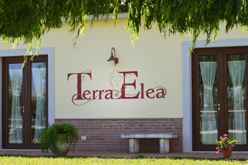 Agriturismo Terra Di Elea Azienda Agricola Di Raimondo Michela Ашеа Экстерьер фото