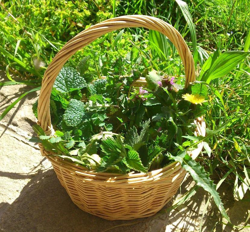 Agriturismo Terra Di Elea Azienda Agricola Di Raimondo Michela Ашеа Экстерьер фото