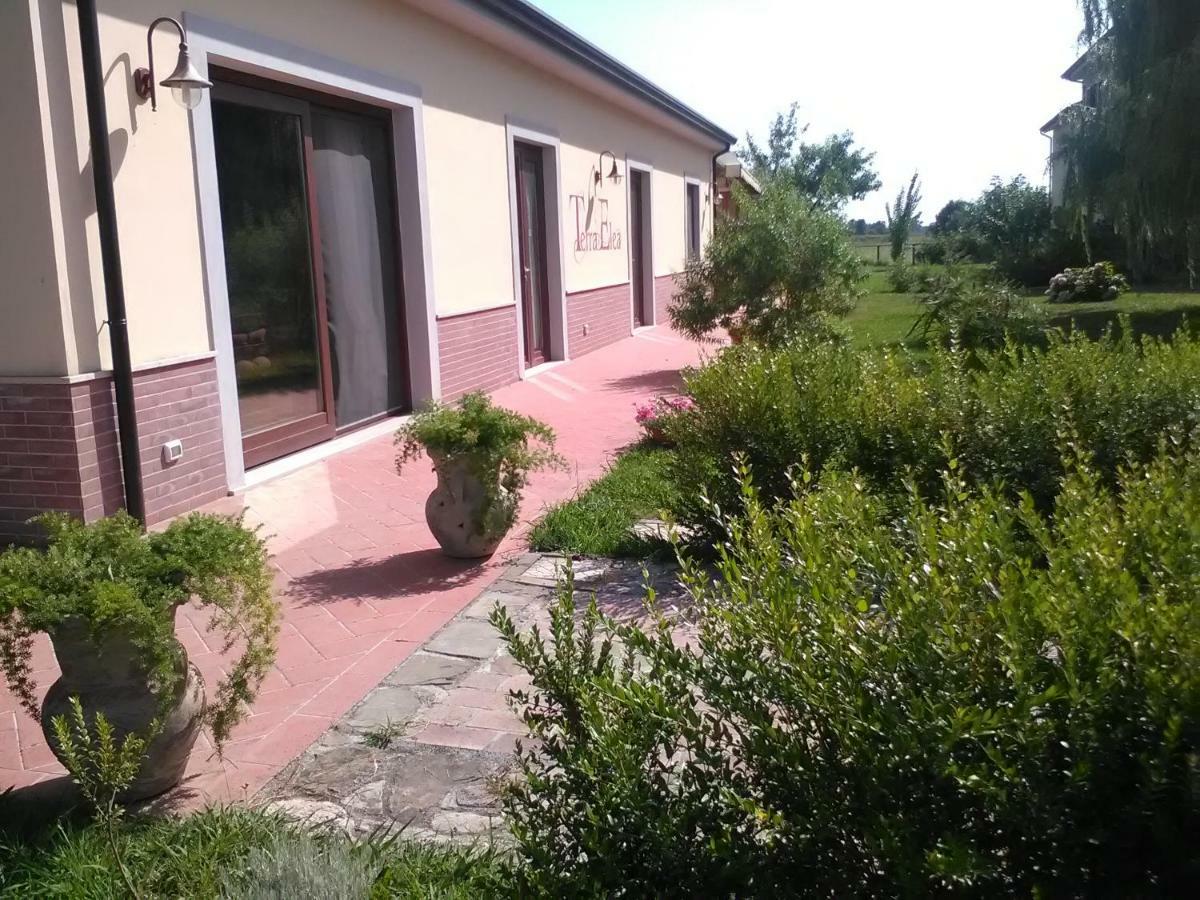 Agriturismo Terra Di Elea Azienda Agricola Di Raimondo Michela Ашеа Экстерьер фото