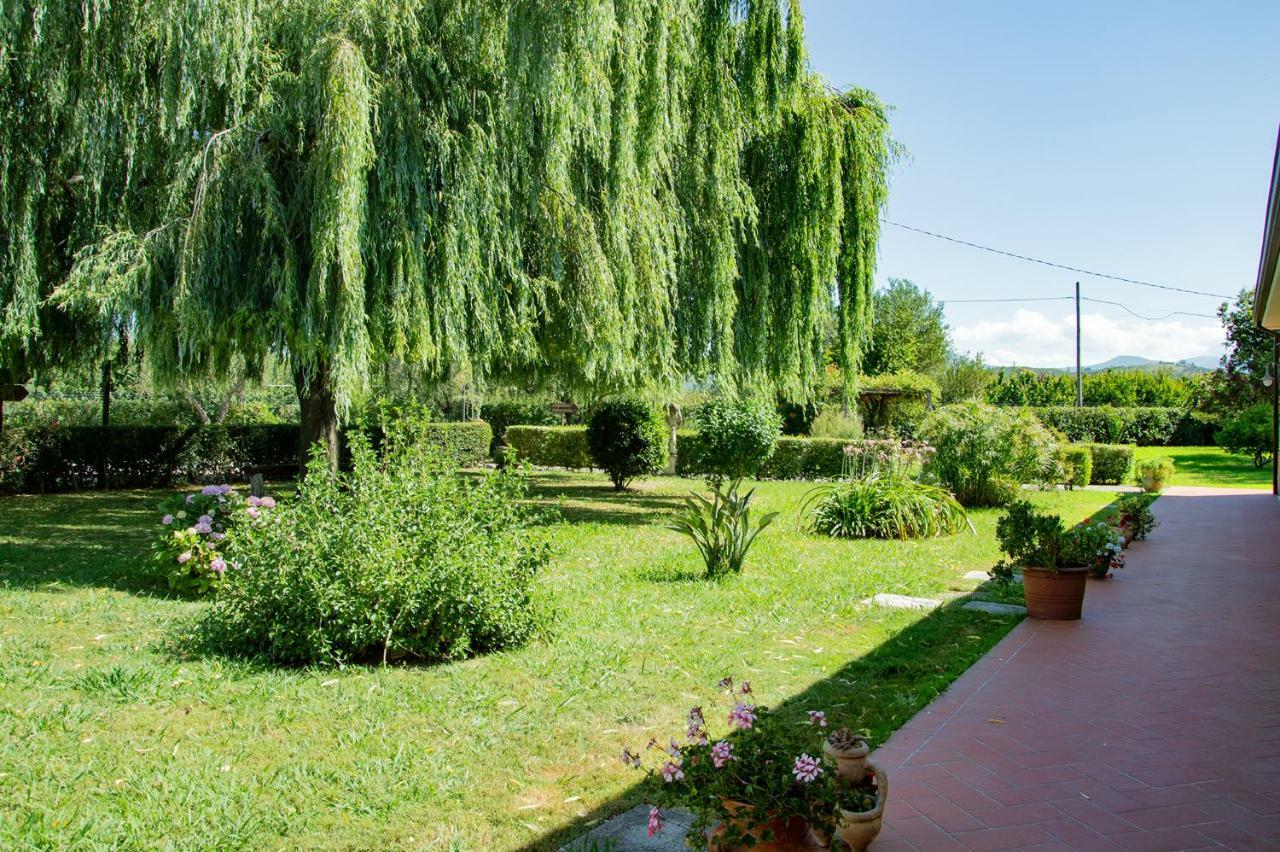 Agriturismo Terra Di Elea Azienda Agricola Di Raimondo Michela Ашеа Экстерьер фото
