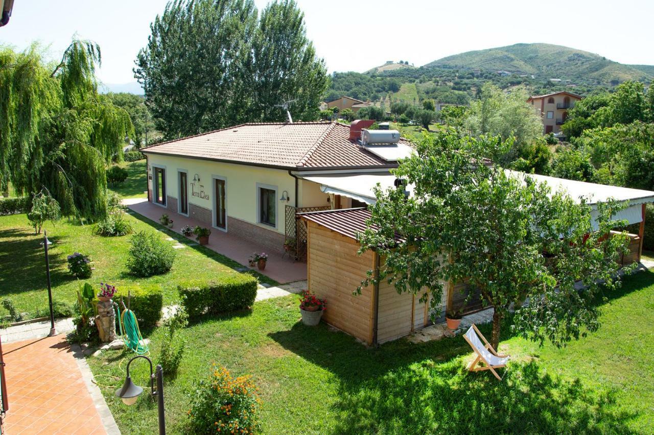Agriturismo Terra Di Elea Azienda Agricola Di Raimondo Michela Ашеа Экстерьер фото
